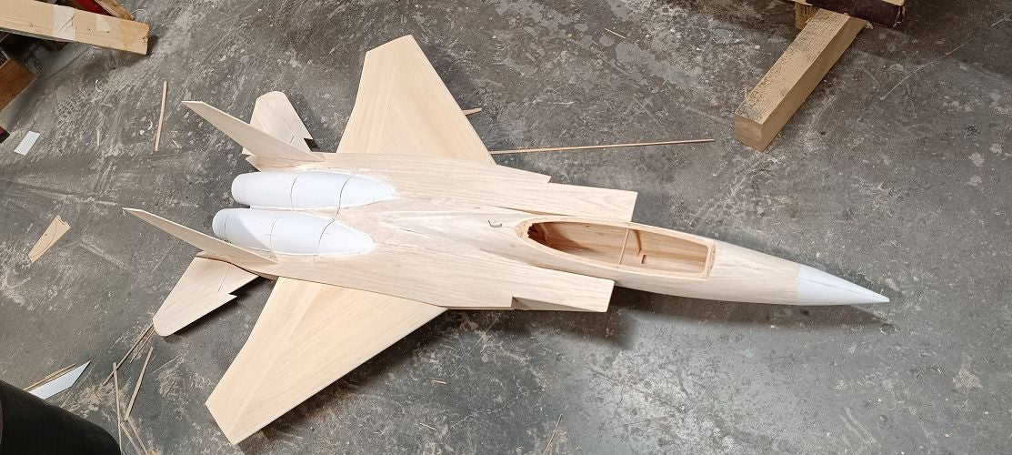 F-15E twin 70mm fan - RC-builder