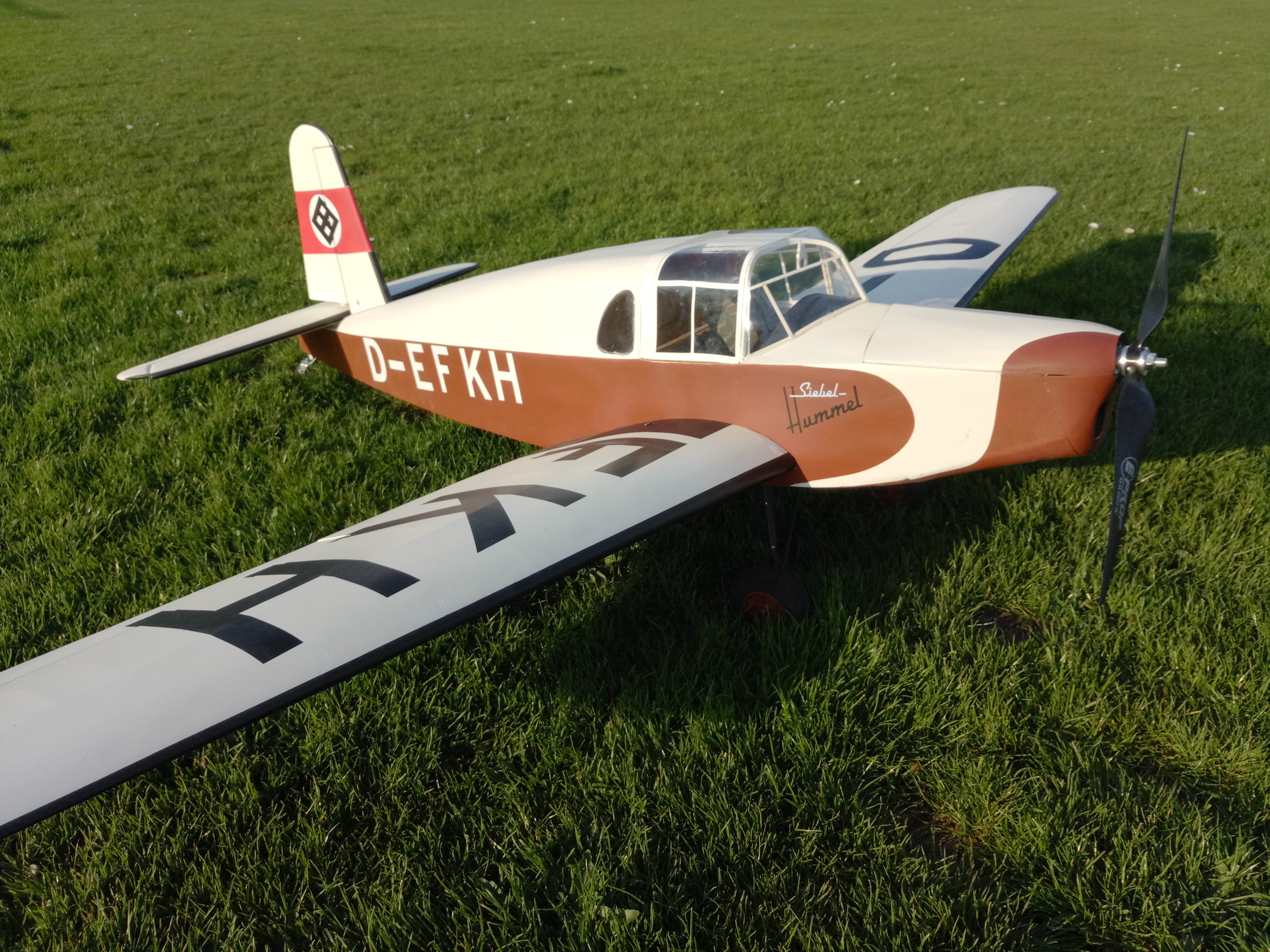 Siebel 202C - RC-builder