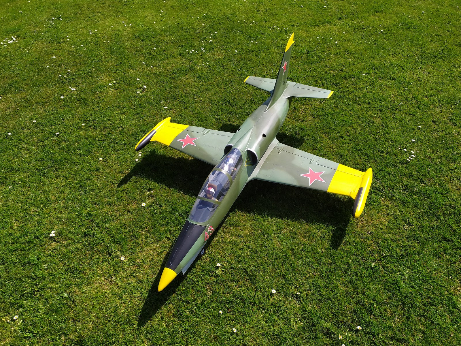 L-39 Albatros - RC-builder