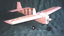 Tipsy Nipper - RC-builder